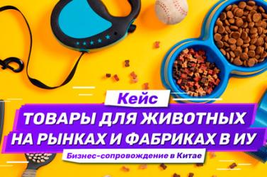 Embedded thumbnail for Кейс: сопровождение по рынкам и фабрикам в Иу. Зоотовары оптом из Китая